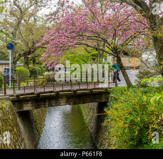 Bellissima vista del famoso filosofo il percorso di Kyoto, Giappone, nella stagione primaverile Foto Stock