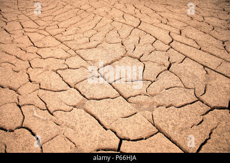 Asciutto terra incrinato in Alicahue, Cile Foto Stock