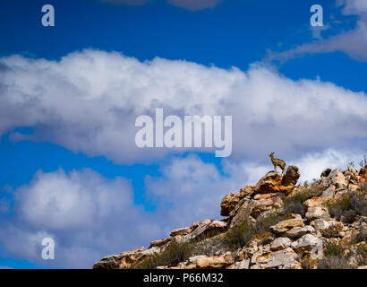 Una scogliera ponticello su una roccia con bellissimo cielo in background Foto Stock