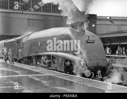 Ex LNER snellito A4 Class Pacific 4-6-2 Germano reale a Londra Kings Cross. C1958 Foto Stock