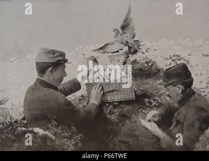 Soldati francesi allegare messaggi ai piccioni viaggiatori come essi forniscono la comunicazione ad altre posizioni francesi durante la prima guerra mondiale 1916 Foto Stock