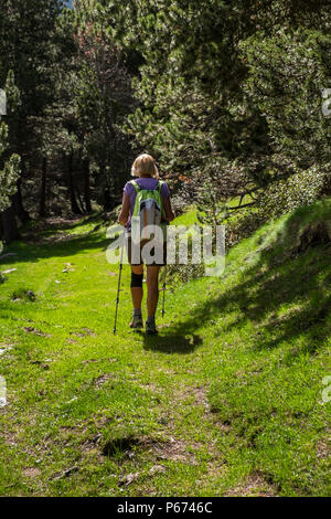 Camminando su un percorso erboso in boschi di pino in Nuria valle dei Pirenei catalani, Spagna Foto Stock