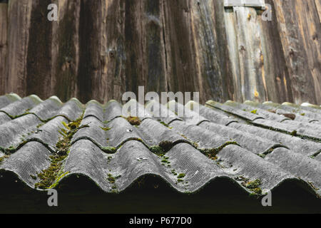 Vecchio e coperto con moss tetto ondulate ardesie copre il fienile Foto Stock