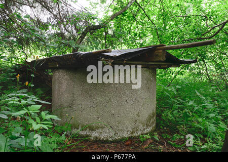 Vecchio Pozzo in mezzo a cespugli e coperto con coperchio Foto Stock