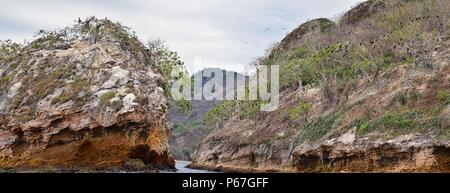 Parco Nazionale di Arches Vallarta o sottomarino Los Arcos Marine Park (Las Peñas o rocce), con una grande varietà di uccelli marini tra cui fregate (forbici Foto Stock