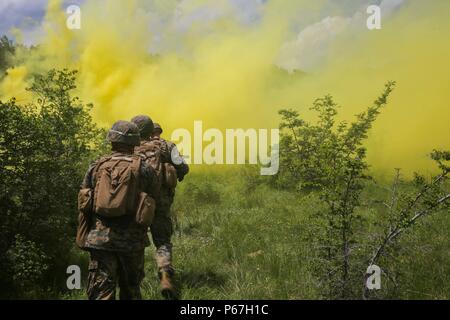 Stati Uniti Marines con Bravo Company, per scopi speciali Air-Ground Marine Task Force Response-Africa crisi, muoversi al loro obiettivo finale dopo aver avviato il fumo per mantenere il coperchio e nel nascondimento per condurre il loro assalto finale durante il platino Lion 16-3 a bordo di Novo Selo Area Formazione, Bulgaria, 14 maggio 2016. Durante l'esercizio, gli alleati degli Stati Uniti e di quattro nazioni partner plotone condotte a livello di tattiche meccanizzata al fine di sviluppare la competenza nel fuoco e manovra. (U.S. Marine Corps foto di Cpl. Immanuel M. Johnson/rilasciato) Foto Stock