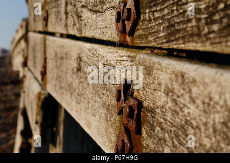 In legno antico, sun imbianchiti frangiflutti a Cuckmere Haven Foto Stock