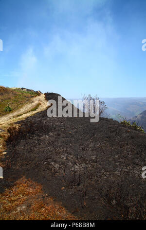 Saddleworth Moor, Manchester, Regno Unito - 28 giugno 2018. Il Saddleworth Moor wildfire continua a bruciare il giovedì pomeriggio con i vigili del fuoco con un elicottero benna per tentare di spegnere le fiamme e ottenere l'incendio sotto controllo. Credito: Andrew Gardner/Alamy Live News Foto Stock