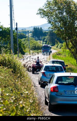 Ardara, County Donegal, Irlanda. Il 29 giugno 2018. Un agricoltore si muove le pecore e gli agnelli causando alcuni la congestione del traffico sulla costa occidentale dell'Irlanda in mezzo alle temperature soffocante. Credito: Richard Wayman/Alamy Live News Foto Stock