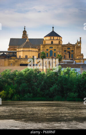 Cattedrale Mezquita di Cordova, la vista della cattedrale di Cordoba - noto anche come La Mezquita - che si eleva al di sopra del densamente boscosa rive del Rio Guadalquivir in Spagna. Foto Stock