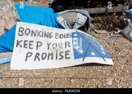 Hastings, Regno Unito - 23 giugno 2018: Bonking Boris mantenere la tua promessa di Regno Unito e Unione europea Brexit dibattito segno Foto Stock