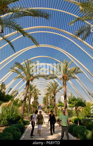 14 Ottobre 2009 - Valencia, Spagna - L'Umbracle. La struttura, una cupola di forma oblunga della struttura a reticolo in acciaio progettata per creare ombra, è parte di arco spagnolo Foto Stock