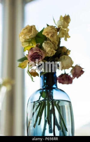 Bouquet di rose appassite in vaso di vetro giallo e rosa Foto Stock