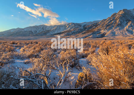 Sierra Nevada e la vegetazione in Alabama collina dopo un fine novembre tempesta di neve, Lone Pine, California, Stati Uniti. Foto Stock