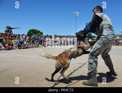 Air force shop militari alte