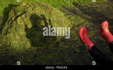 Silhouette di ombra in erba di ragazzo su corde oscillanti Foto Stock