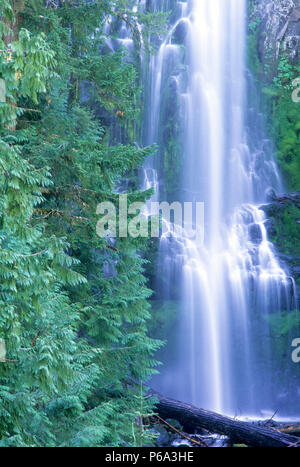 Proxy inferiore cade, tre sorelle deserto, Willamette National Forest, Oregon Foto Stock