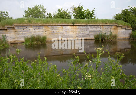 Artificiale sito di nidificazione per la sabbia martins Seaton Zone Umide East Devon Regno Unito Foto Stock