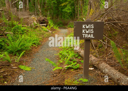 Kwis Kwis Trail, memoriale nazionale forte di Clatsop, Lewis e Clark National Historic Trail, Lewis e Clark National Historical Park, Oregon Foto Stock