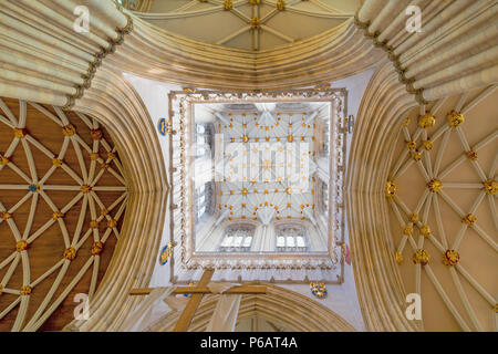 Basso angolo di visione del transetto sud e la torre centrale a York Minster e York, nello Yorkshire, Inghilterra. Foto Stock