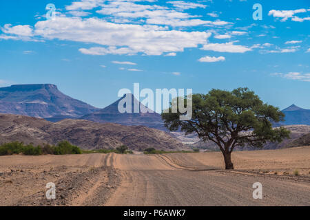 Sulla strada verso Khorixas nella regione di Kunene della Namibia settentrionale. Foto Stock