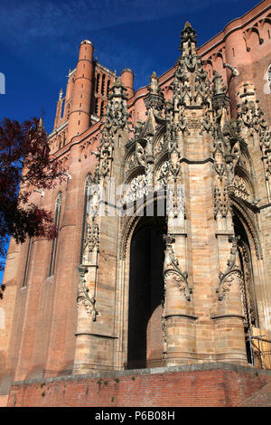 Francia, Occitanie, Dipartimento del Tarn (81), Albi, Sainte Cecile cattedrale, Patrimonio Mondiale dell Unesco Foto Stock