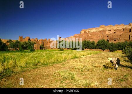 Casbah de Aït Benhaddou (S.XVI). Cordillera del Atlas. Marruecos. Maghreb. L'Africa. Foto Stock