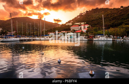 Barche a vela a Marina a Wickham's Cay II su in Tortola Isole Vergini Britanniche Foto Stock