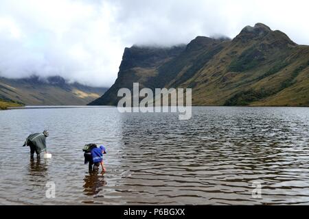 I bambini di prendere acqua - Laguna Shimbe - sciamanesimo in ' SALALA Las Huaringas ' - HUANCABAMBA.. Dipartimento di Piura .PERÙ Foto Stock