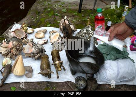 Mesada - sciamanesimo in ' SALALA Las Huaringas ' - HUANCABAMBA.. Dipartimento di Piura .PERÙ Foto Stock