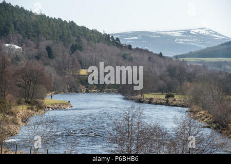 Il fiume Spey in Scozia vicino a Grantown on Spey Foto Stock