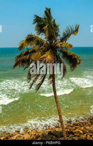 Paesaggio tropicale con mare, cielo blu e palme. Varkala, Kerala, India del Sud. Foto Stock