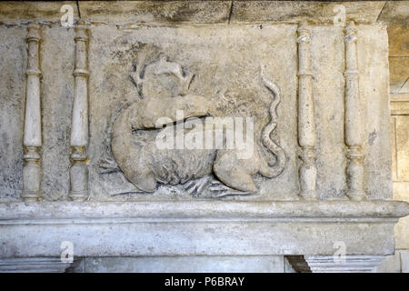 Drago medievale stone carving, Bas-Relief o scolpiti Dragon sul Camino nella dispensa Grignan Château Drôme Provence Francia Foto Stock