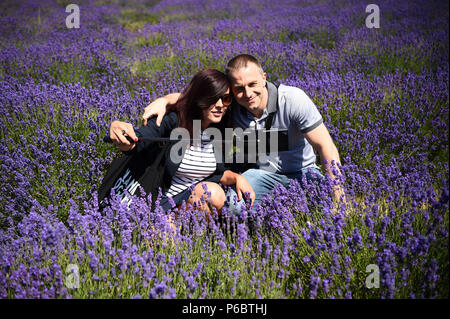 Un paio di prendere un selfie nella lavanda a Mayfield Fattoria di Lavanda in Sutton, Londra Sud, come la torrida meteo è impostata per continuare con temperature meteo resterà alta nel fine settimana. Foto Stock