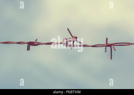 Filo spinato sul recinto con sfondo cielo di sentirsi preoccupante.immagine filtrata. Foto Stock