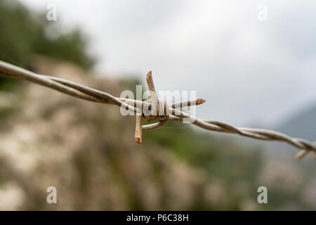 In prossimità di una barba di metallo su una linea di barb recinzioni di filo. Foto Stock