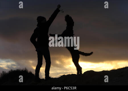 Wustrow, Germania - Silhouette, ragazzo giocare a palla con il suo cane su una duna di sera Foto Stock