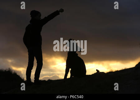 Wustrow, Germania - Silhouette, ragazzo giocare a palla con il suo cane su una duna di sera Foto Stock