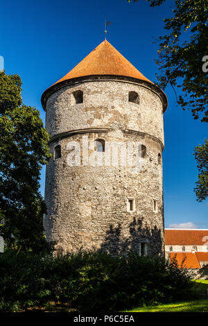 La torre di artiglieria in una parte sud-ovest di rafforzamento della città vecchia di Tallinn costruito nel 1475 - uno dei più potenti difensivo di Tallinn Foto Stock