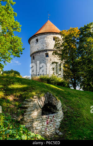 La torre di Kiek in de Kök sulla collina al di sotto del quale è il sottopassaggio sotto forma di tunnel di pietra che è parzialmente messo da blocchi di pietra Foto Stock