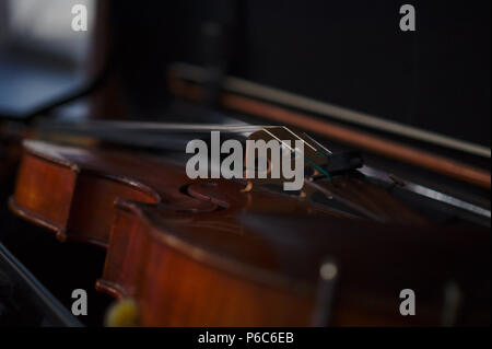 Il violino in un tronco come closeup in colori scuri Foto Stock