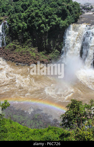 Rainbow a Iguazu Falls o Iguaçu Falls sono le cascate del fiume Iguazu sul confine argentino della provincia di Misiones e stato brasiliano Foto Stock