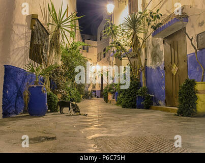 Vista notturna di Asilah Marocco Foto Stock