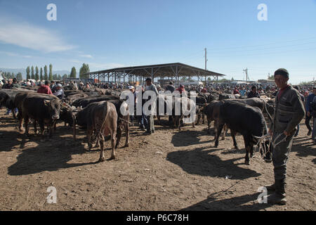 Scene della domenica mercato animale, Karakol, Kirghizistan Foto Stock