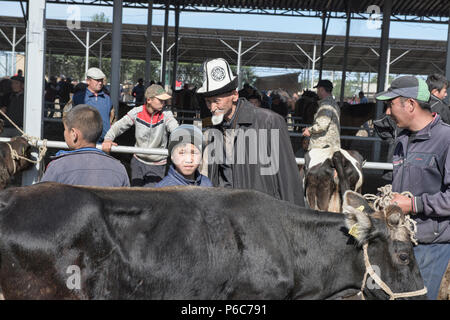 Scene della domenica mercato animale, Karakol, Kirghizistan Foto Stock