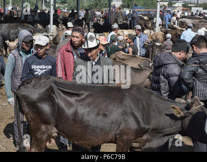 Scene della domenica mercato animale, Karakol, Kirghizistan Foto Stock