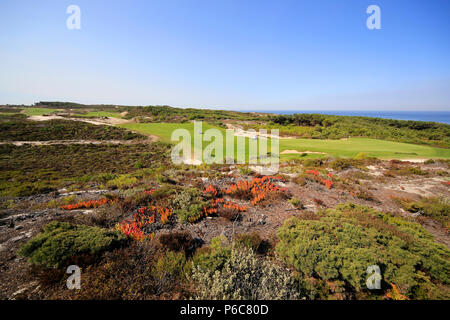 Scogliere a ovest del campo da golf, Obidos, Portogallo Foto Stock