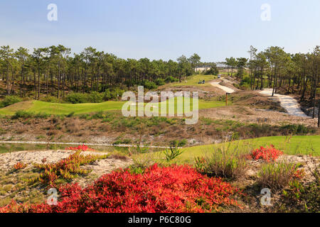 Scogliere a ovest del campo da golf, Obidos, Portogallo Foto Stock