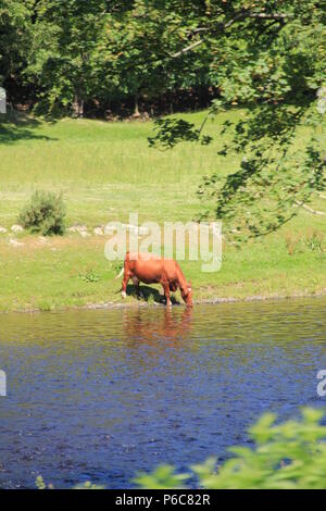 LLangollen Railway Galles Foto Stock