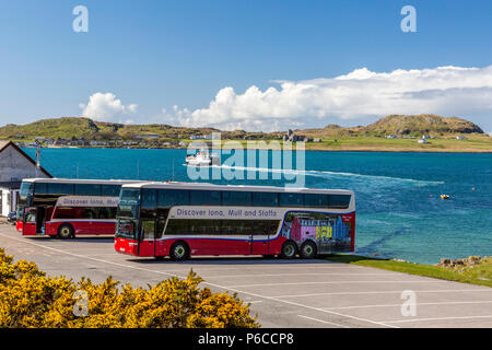 Luxury double deck allenatori collegare con il traghetto di Iona a Fionnphort sul Ross di Mull, Argyll and Bute, Scotland, Regno Unito Foto Stock